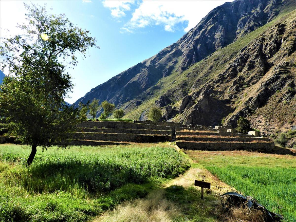 Ayllu B&B Ollantaytambo Exteriér fotografie