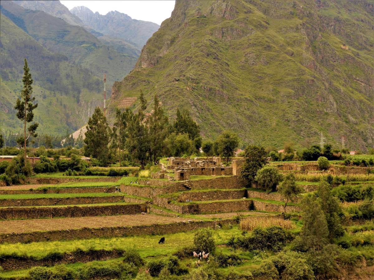 Ayllu B&B Ollantaytambo Exteriér fotografie